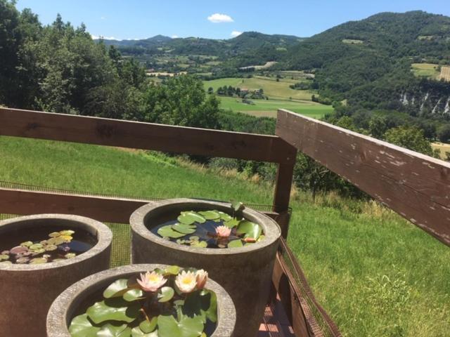 Casa Petra - Casa Tre Stelle - Casa Caneva - Ferien Fuer 6-14 Personen Ponti Eksteriør bilde