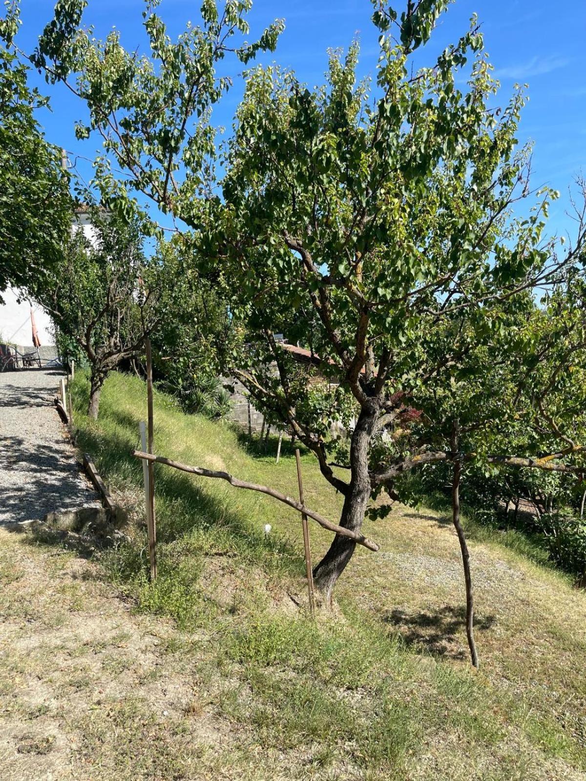 Casa Petra - Casa Tre Stelle - Casa Caneva - Ferien Fuer 6-14 Personen Ponti Eksteriør bilde